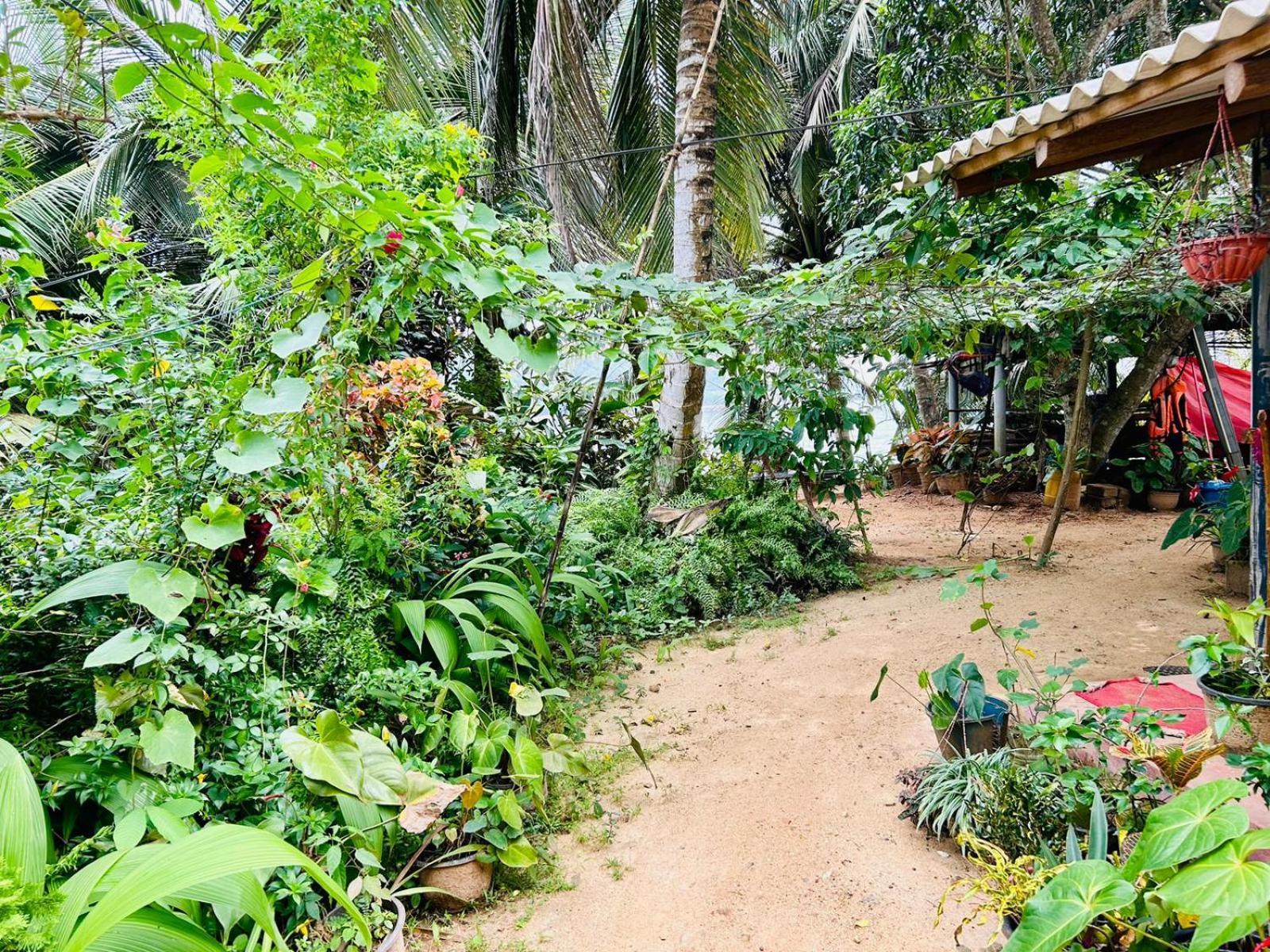 Surf Paradise Tangalle Exterior foto