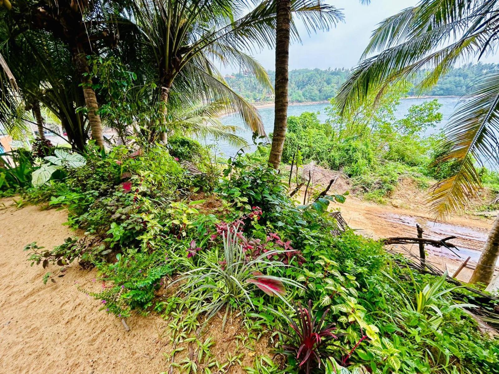 Surf Paradise Tangalle Exterior foto